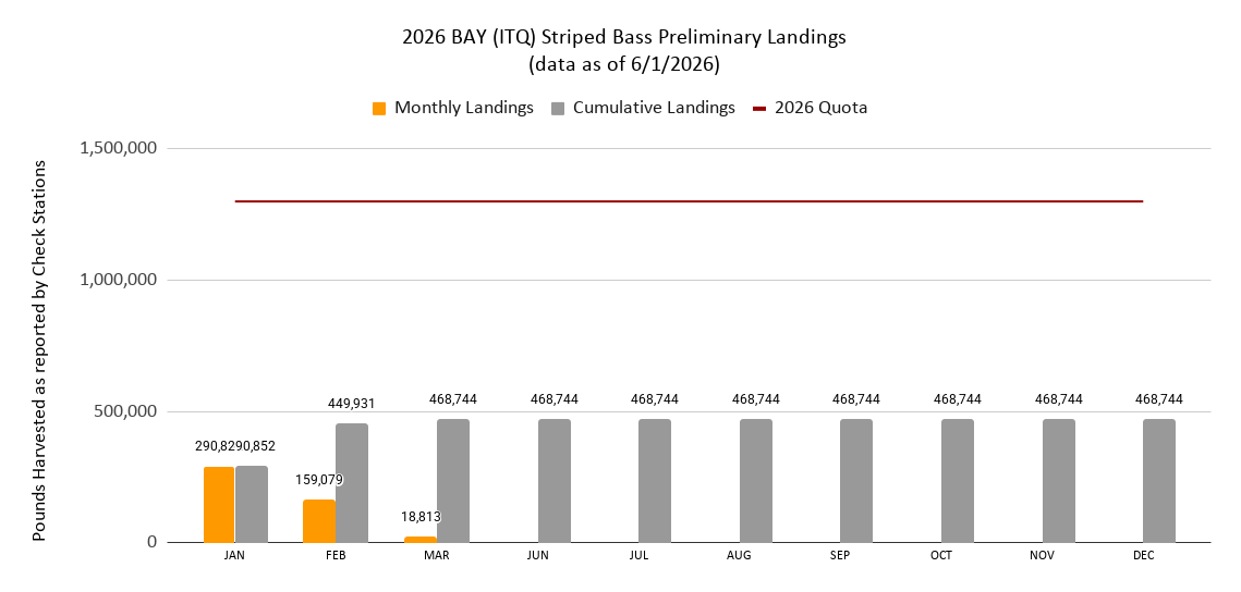 2026 Chesapeake Bay Striped Bass Preliminary Landings