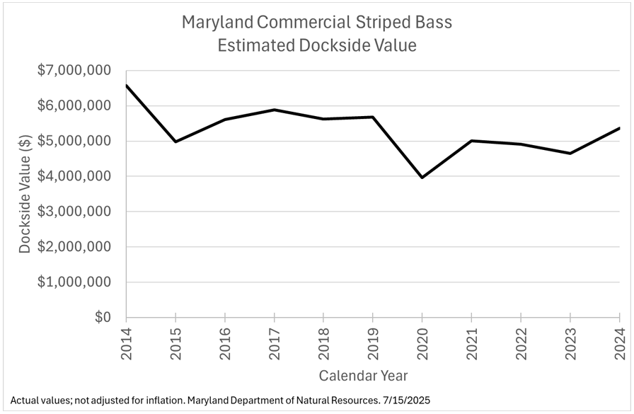 StripedBassDockside7-15-2025.png