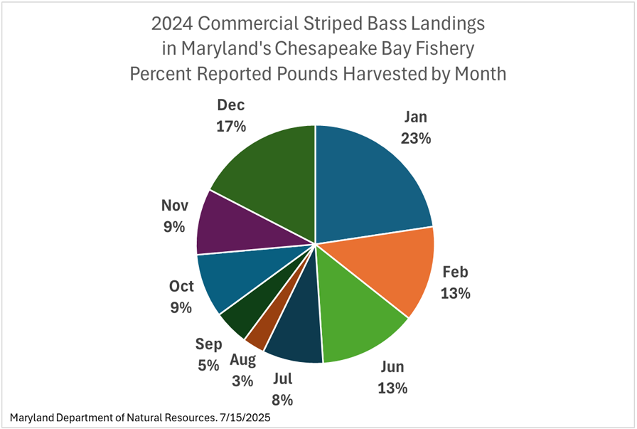 StripedBassPercentMonthlyLandings7-15-2025.png