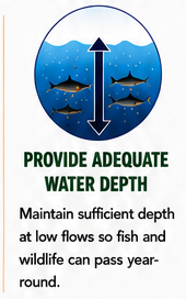 Circular graphic showing fish swimming under water with a double-headed vertical arrow indicating water depth. Below, text titled 