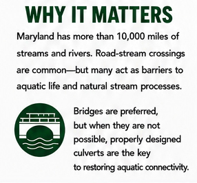 Stream Extent & Barriers: Maryland contains over 10,000 miles of rivers and streams, where common road-stream crossings often block aquatic life and natural water processes. Infrastructure Solutions: Bridges serve as the ideal solution; however, when building a bridge is not feasible, properly designed culverts are essential to restore aquatic connectivity.