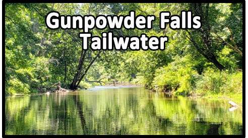 GunpowderFallsTailwaterButton.jpg