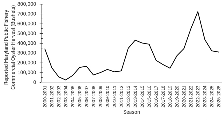 graph showing MD Commercial Oyster Landings by bushels