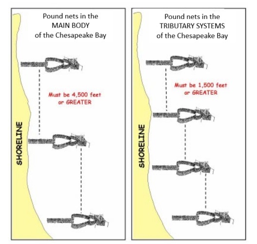 Figure 1 - Pound Net illustrations