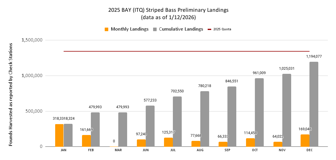 2025 Chesapeake Bay Striped Bass Preliminary Landings