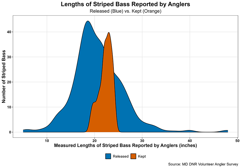 Rec_Striped_Bass_Lengths_VAS1.png