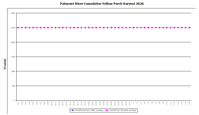 Commercial Patuxent River Yellow Perch Harvest