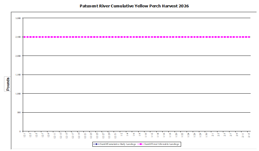Commercial Patuxent River Yellow Perch Harvest