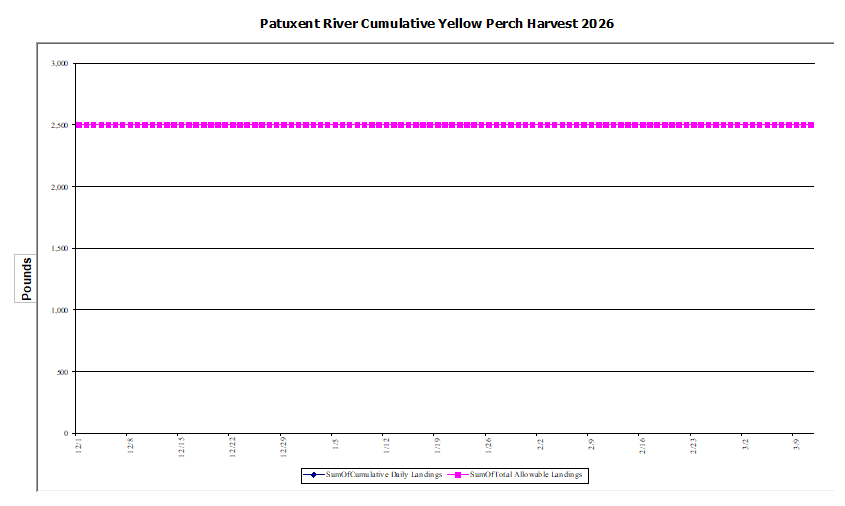 Commercial Patuxent River Yellow Perch Harvest