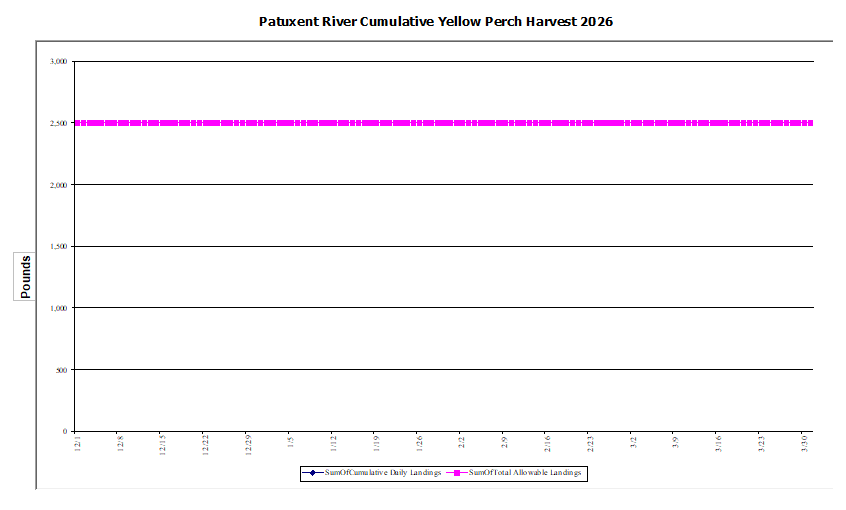 Commercial Patuxent River Yellow Perch Harvest