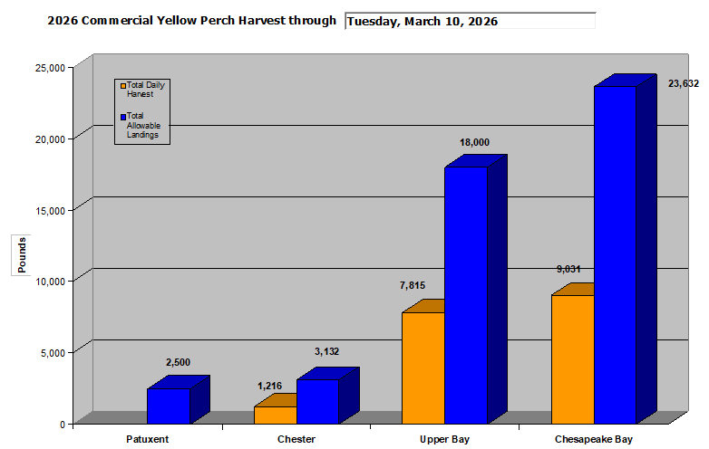 Total Commercial Yellow Perch Harvest