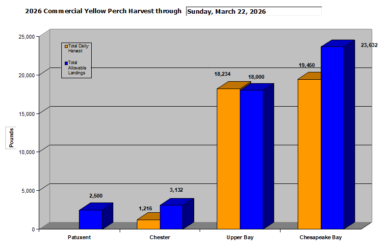 Total Commercial Yellow Perch Harvest