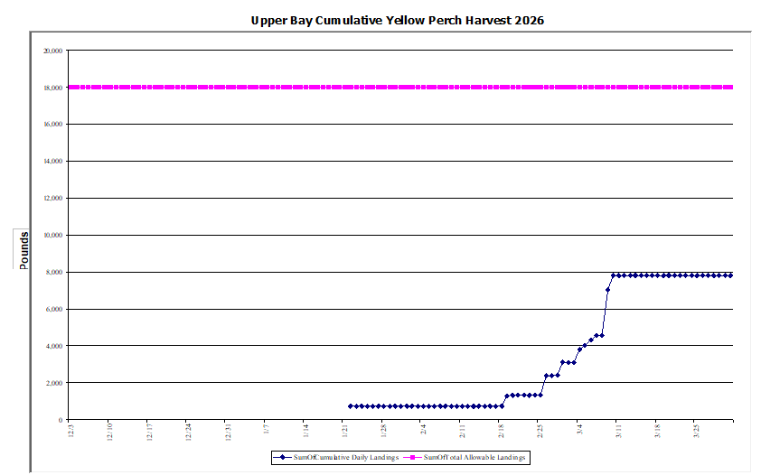 Commercial Upper Bay Yellow Perch Harvest