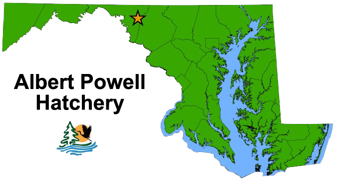 Albert Powell Map