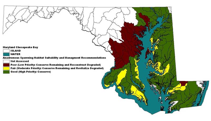Map of Watersheds with Anadromous Spawning Habitat