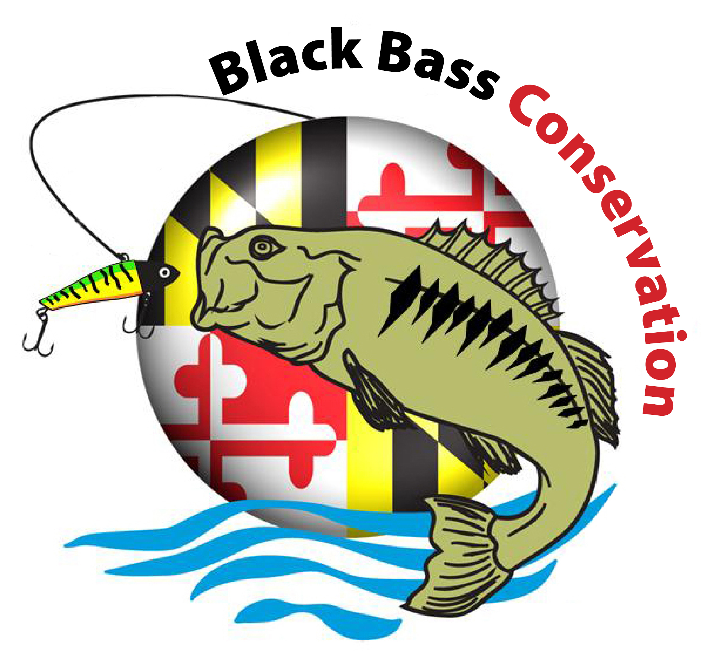 Largemouth Bass Conservation