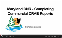 Crab Reports