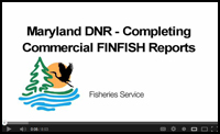 Finfish Reports
