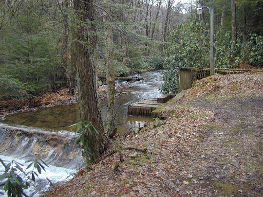 Photo of Bear Creek Hatchery water source.