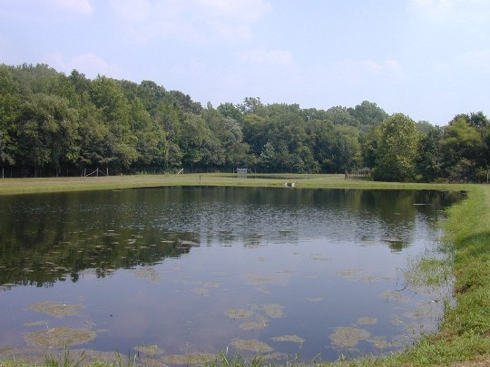 Photo of Unicorn pond.