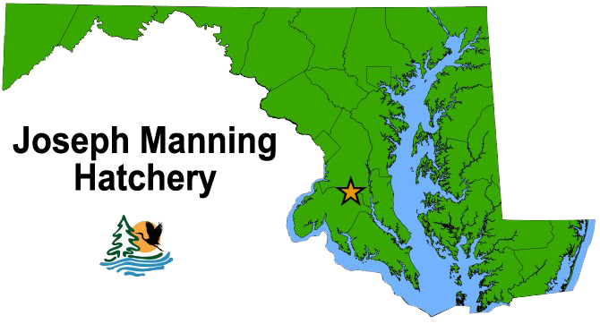 Joseph Manning Map