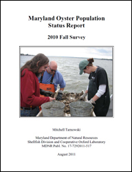 Fall Survey Report 2010