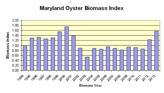 Oyster Biomass Index