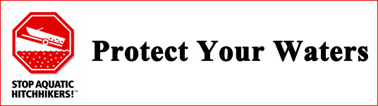 Protect Your Waters Graphic