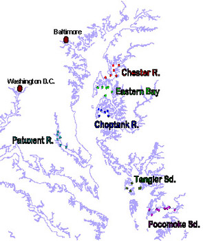 Trawl Map of Chesapeake Bay