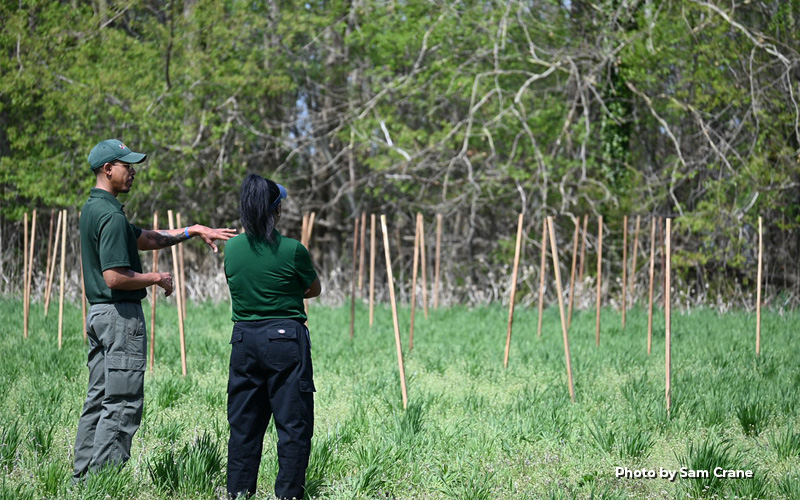 Maryland Forest Service’s Large-Scale Tree Planting Expands Riparian Buffer at Newtowne Neck State Park