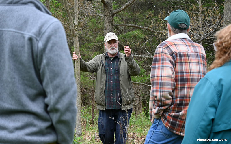 Maryland Landowners Encouraged to Become Certified Tree Farmers