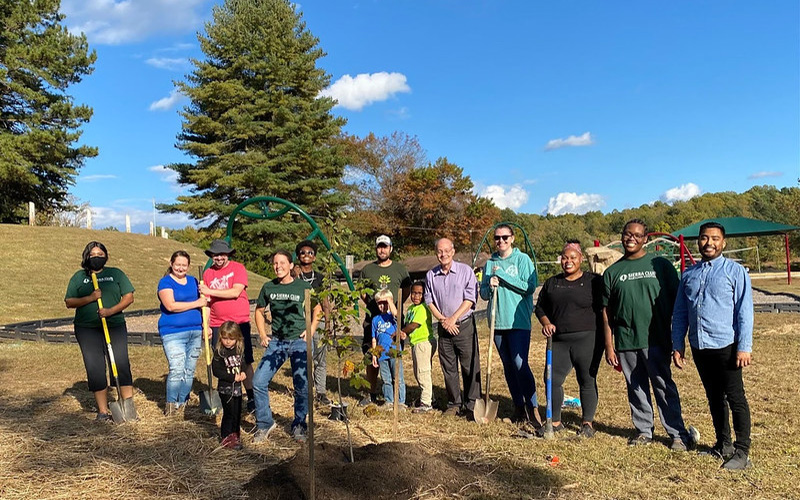 Maryland’s ‘Gift of Trees’ Available for 2024 Holiday Season