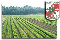 Photo of the fields at the nursery and Forest Service logo