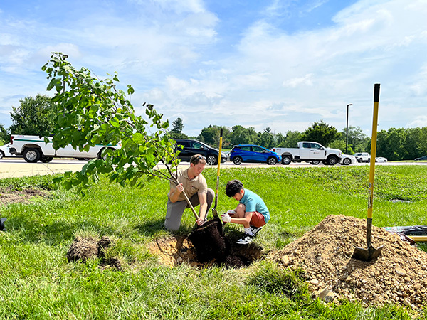 Edison Lee planting a tree.