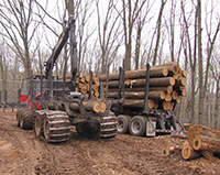 A truck full of logs in the winter.