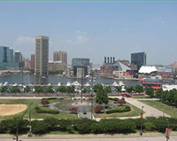 Aerial image of tress with the Baltimore Harbor in the background.