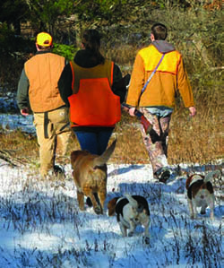 Hunting in Green Ridge State Forest
