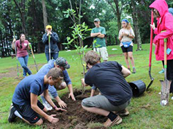 Campers planting trees
