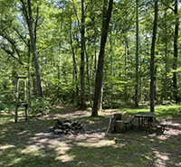 Typical Primitive Campsite in Potomac-Garrett State Forest