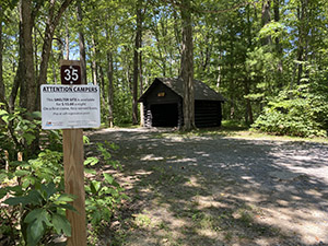 Wallman Shelter Site in Potomac-Garrett State Forest