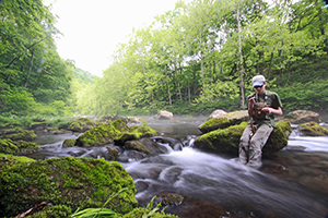 Savage River State Forest FlyFishing-photo by Stephan Farrand