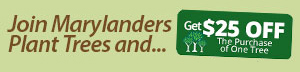 Trees in Maryland coupon for $25 off the purchase of one tree.
