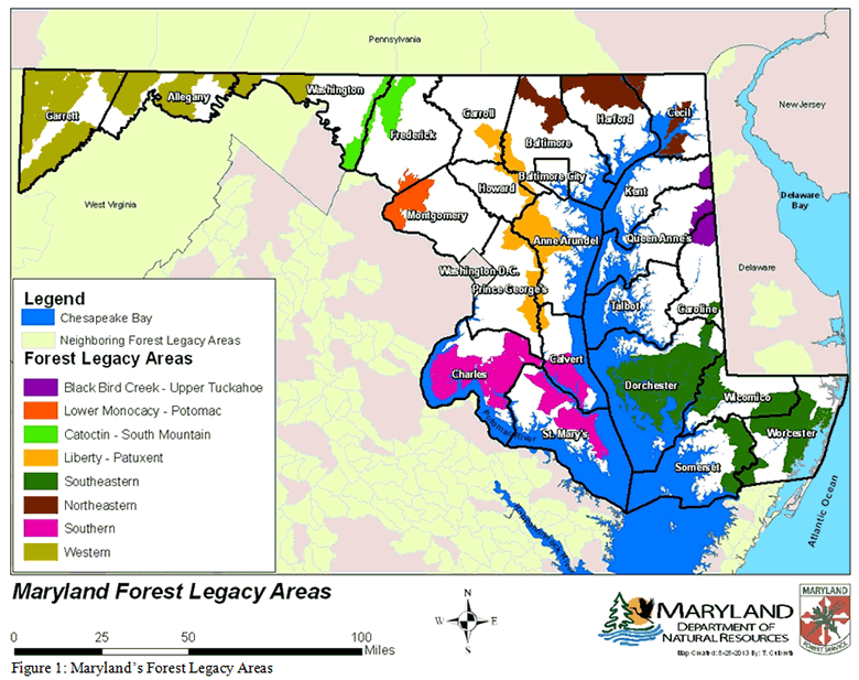 Maryland Forest Legacy Areas Map