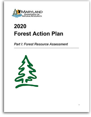Cover of the 2020 State Forest Action Plan