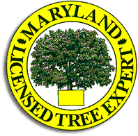 Maryland's License Tree Experts Logo