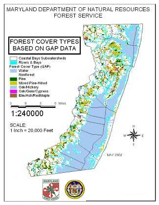 Map showing forest cover types