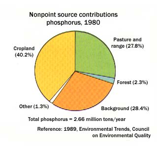 Chart showing the amount of Phosphorus created by various sources.