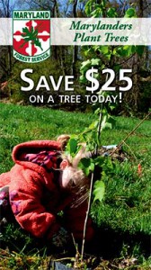 tree_coupon_page-168x300.jpg