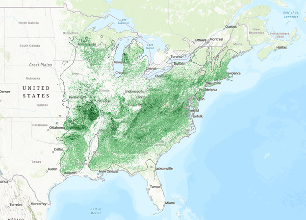 USDA Forest Service FIA Modeled Abundance of White Oak.  This is a digital representation of maps by Elbert L. Little, Jr., published between 1971 and 1977.  Darker shades indicate higher abundance of white oak.