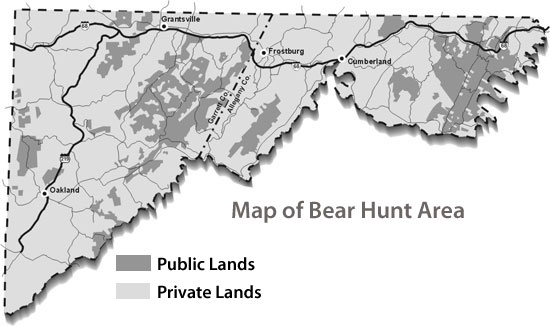 Bear Hunt Hunting Area